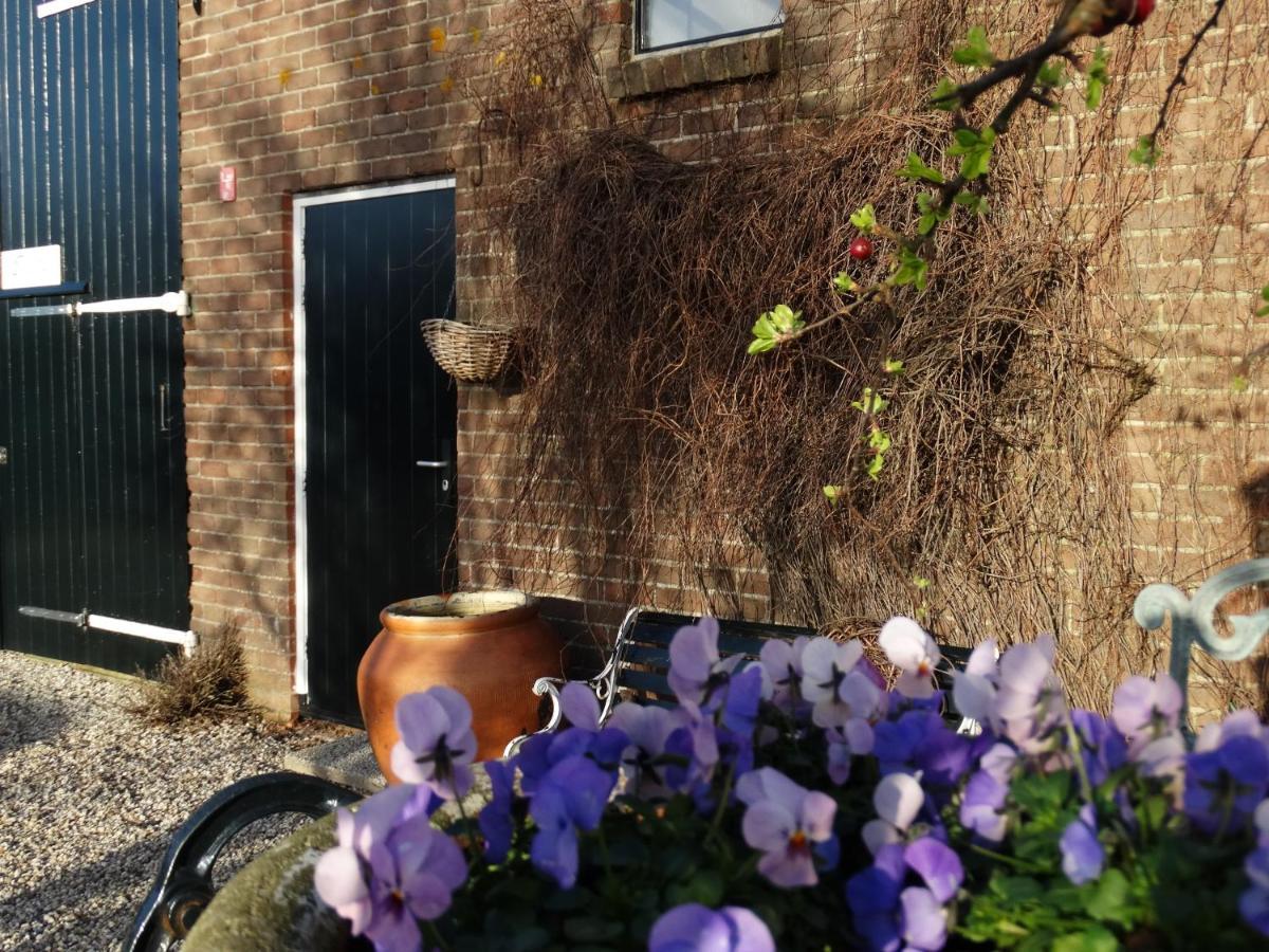 B&B Droom In De Polder -De Salon- Luxe Appartement Met Prive-Sauna Arnemuiden Exterior photo